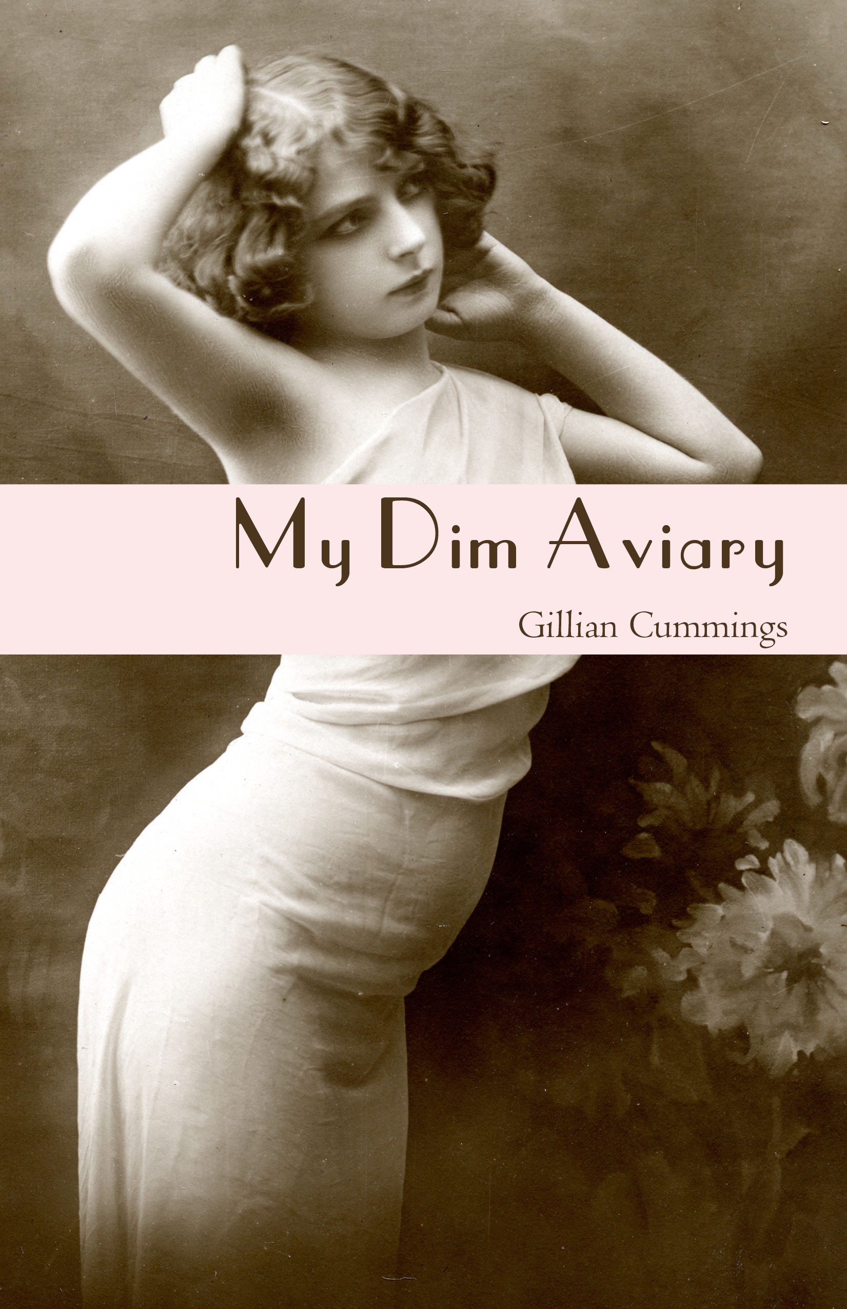 Book Cover: My Dim Aviary
